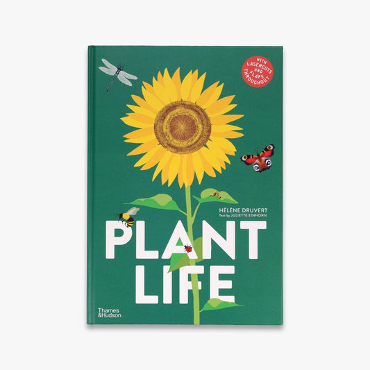 Front cover of Plant Life by Hélène Druvert. Green background with illustration of sunflower and insects.