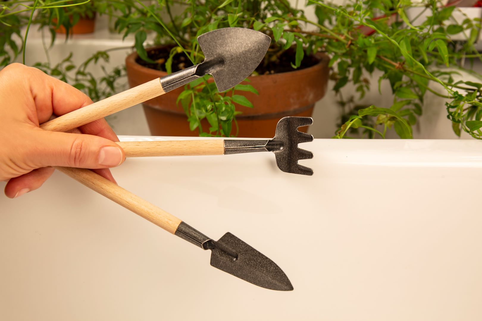 Someone holding a mini rake, spade, and shovel with wooden handles. There is a potted plant in the background.