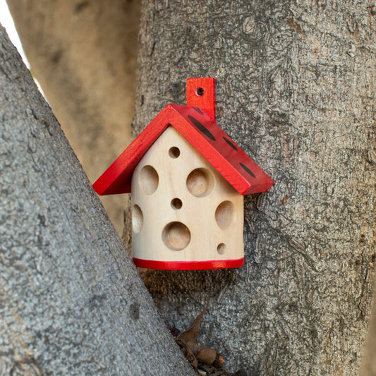 Little pinewood ladybird house on a tree with a red spotty roof.