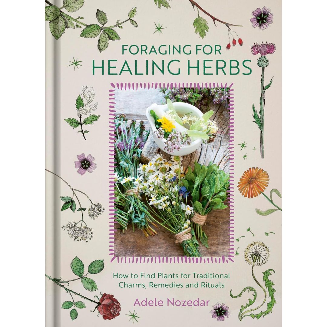 Foraging for Healing Herbs