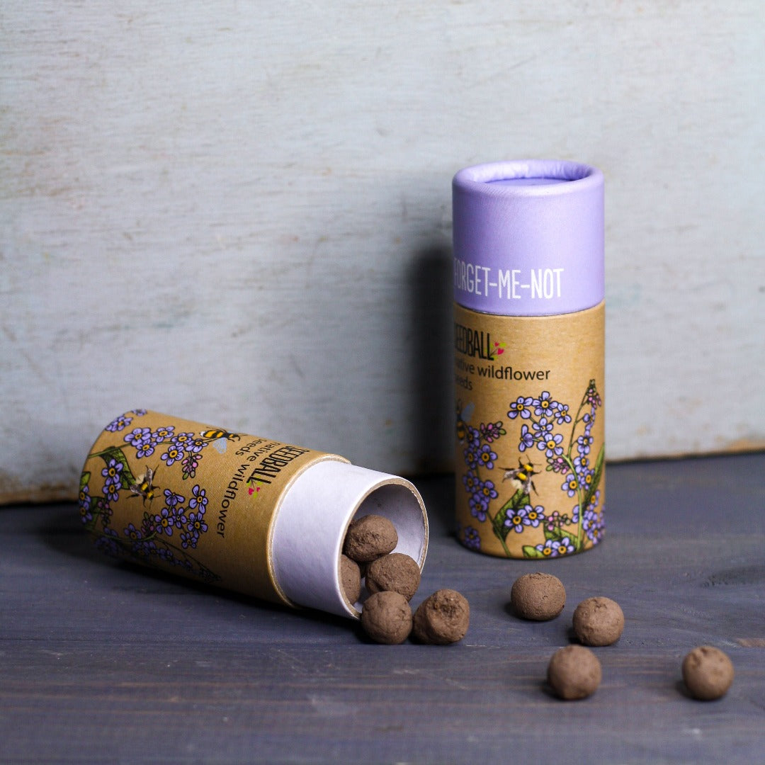 An open tube of forget-me-not seedballs, showing the seedballs inside.