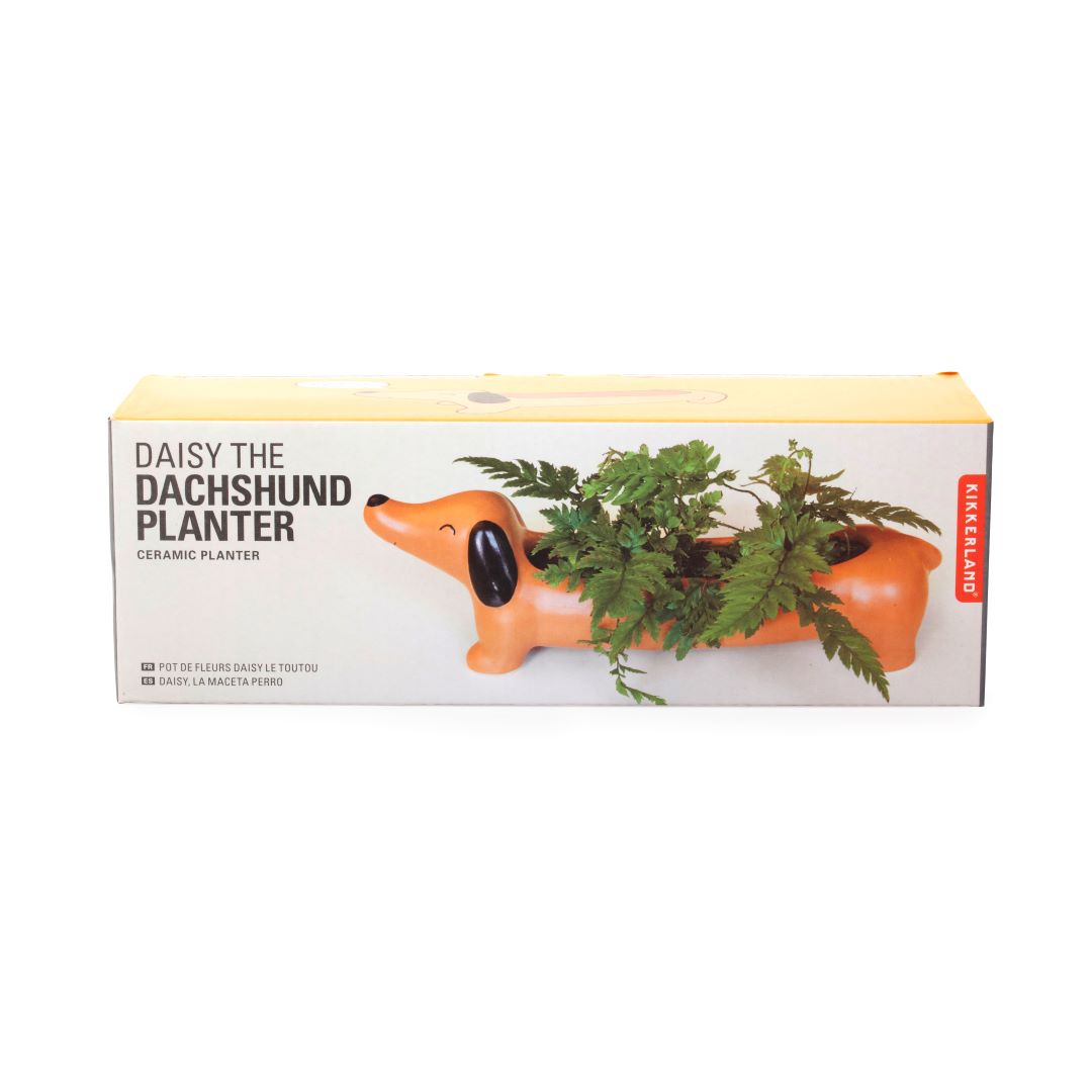 Box for dachshund shaped planter.