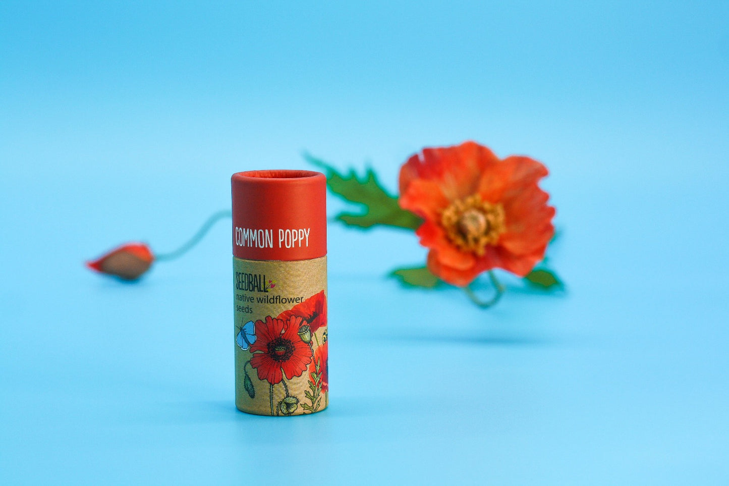 Tube of common poppy seedballs with a common poppy in the background