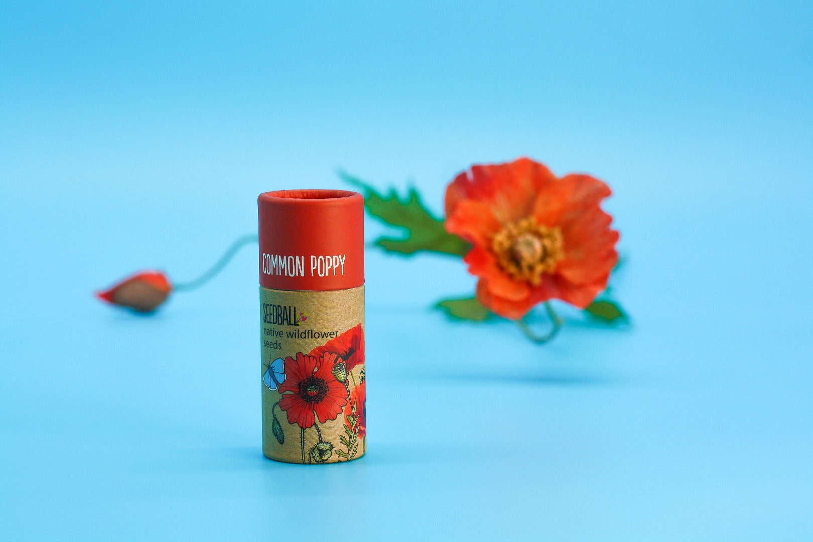 Tube of common poppy seedballs with a common poppy in the background