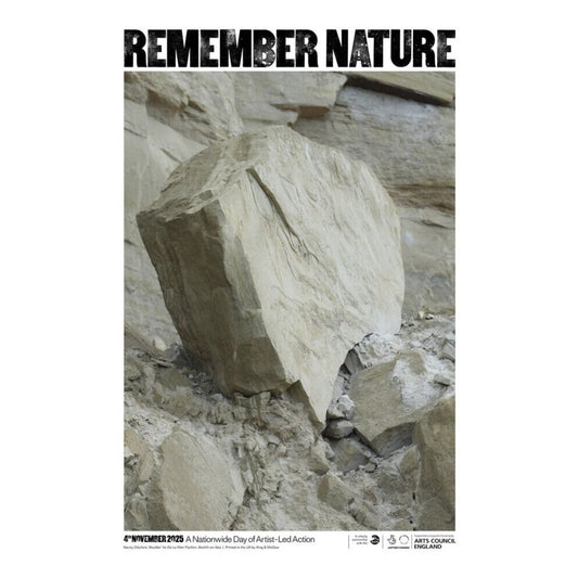 Boulder By Nancy Odufona A2 Poster