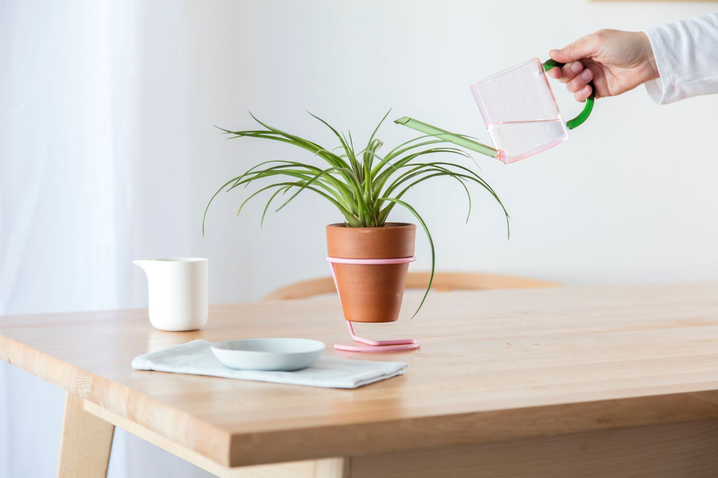 Someone watering a house plant with a pink and green glass watering can