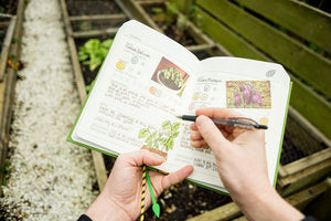 Someone making notes in front of a vegetable planter