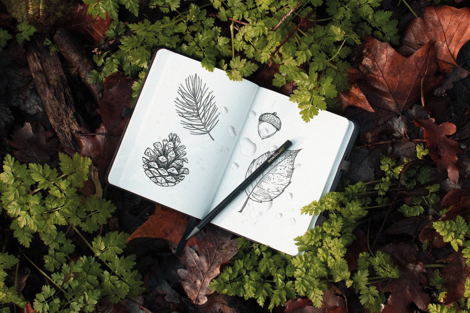 Water-resistant journal and pencil, with drawings of leaves, and foliage in the background.