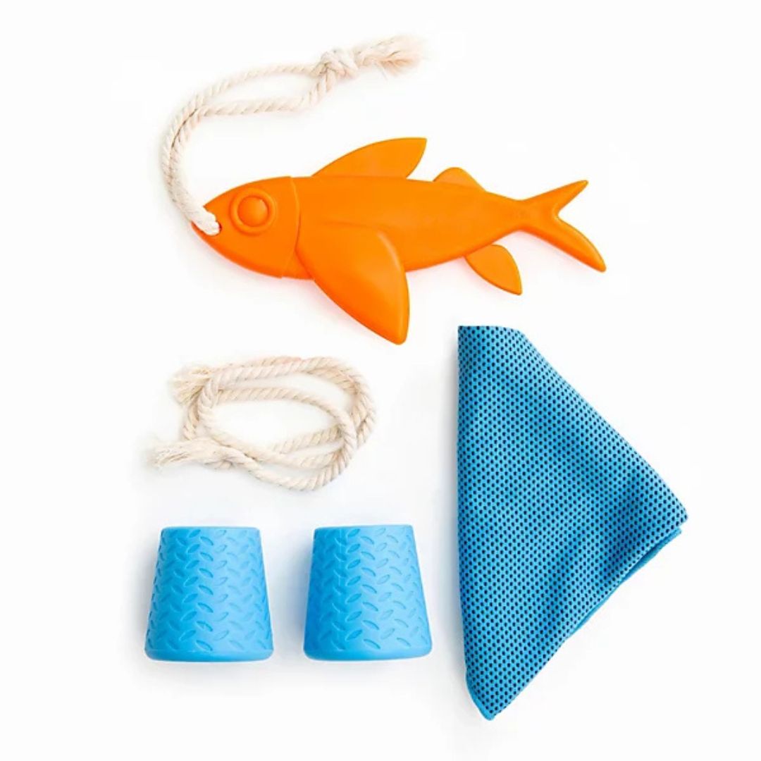 Dog Beach Day Kit