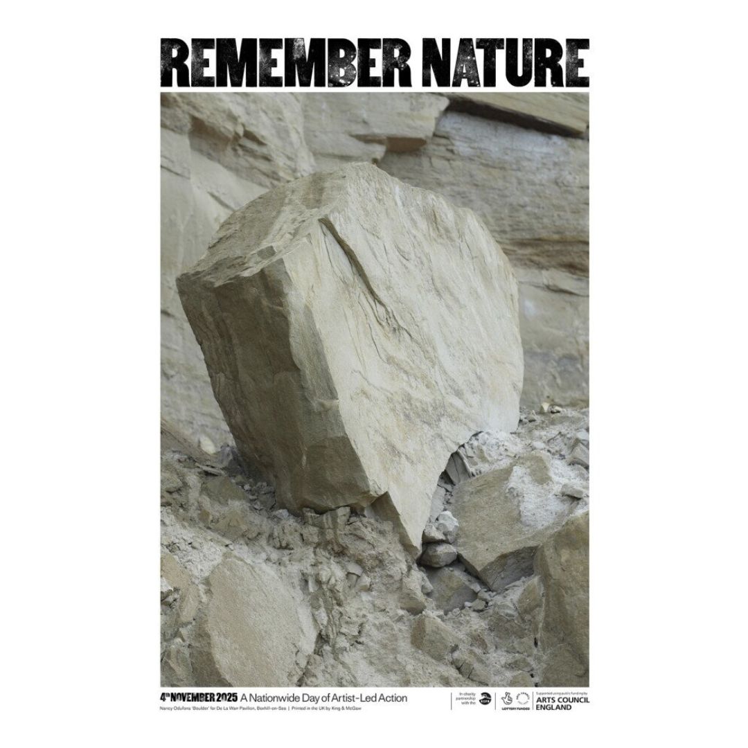 Boulder By Nancy Odufona A2 Poster