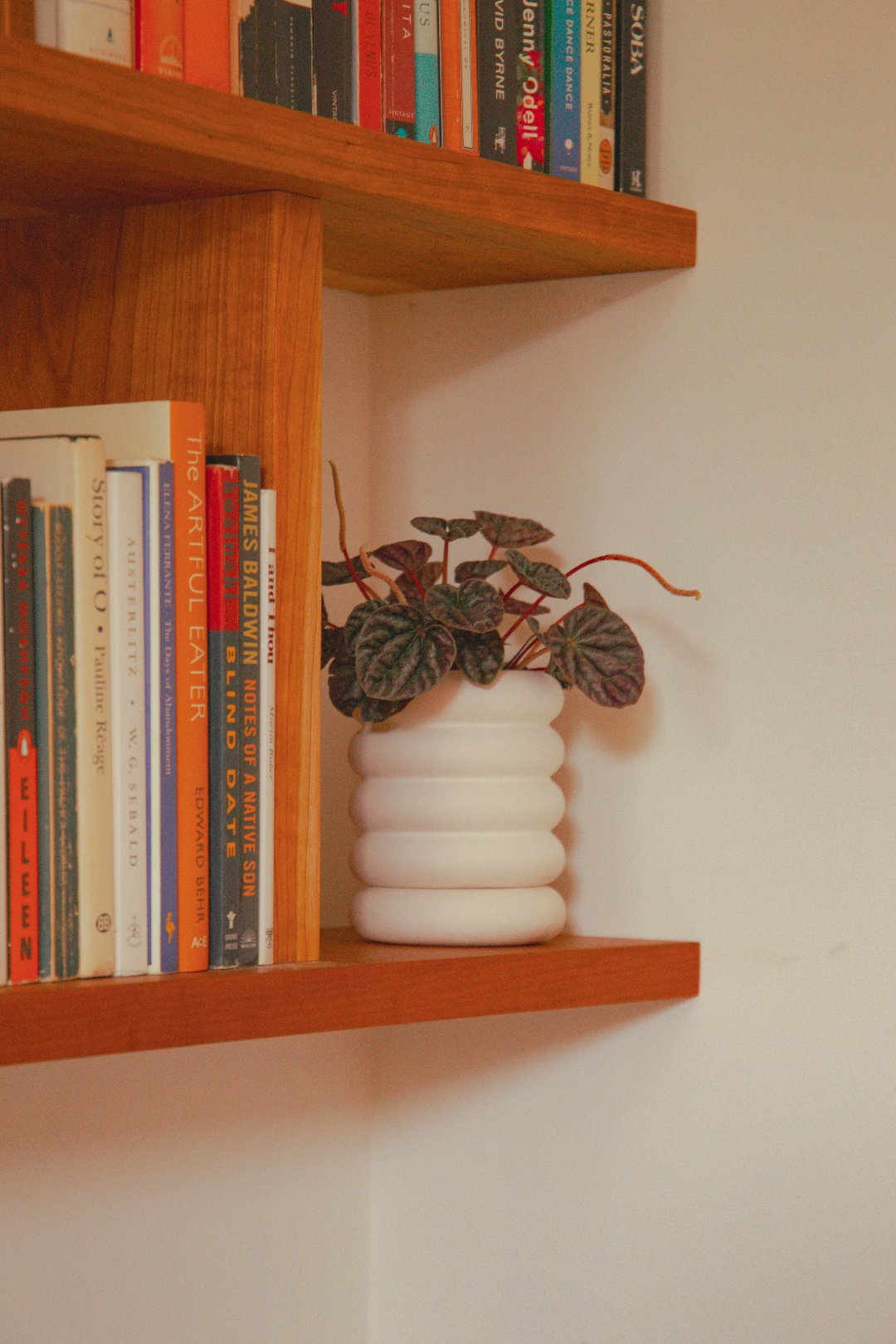 a rounded white planter with a plant on a bookshelf