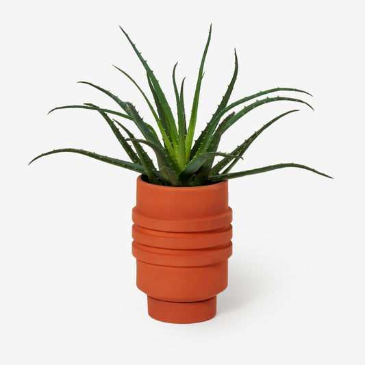 Terracotta plant pot with sculptural ridges and shape. With a plant inside.