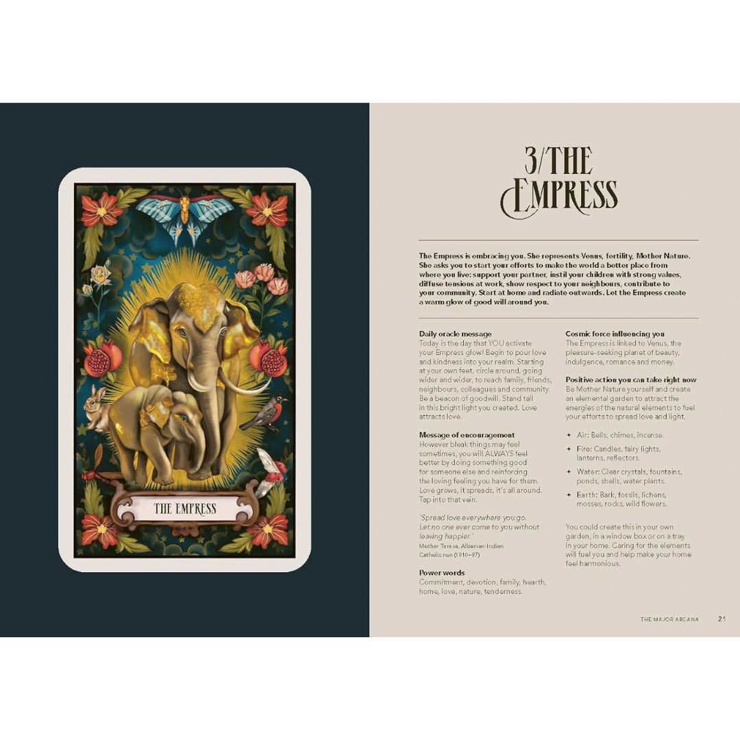 The Light in The Dark Tarot & Oracle