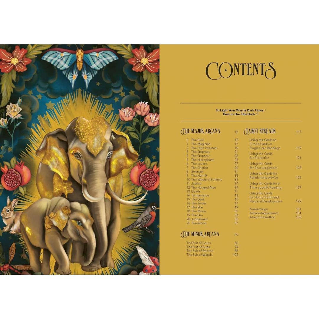 The Light in The Dark Tarot & Oracle