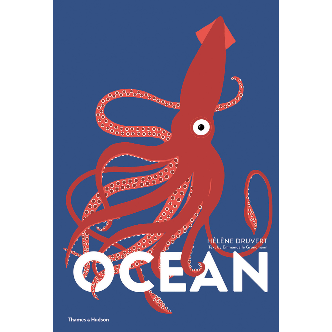 Front cover of Ocean by Hélène Druvert